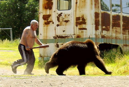 Bears