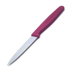 Victorinox paring knife