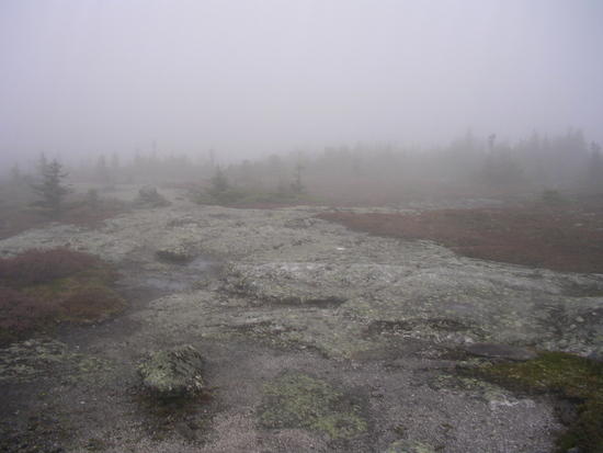 Fog and rain on Baldpate