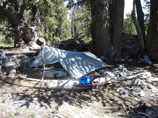 Spinn Twinn at Mt Charleston Meadows
