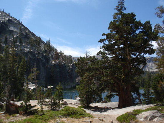 Dardenelle Lake, east shore