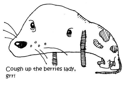huckleberry