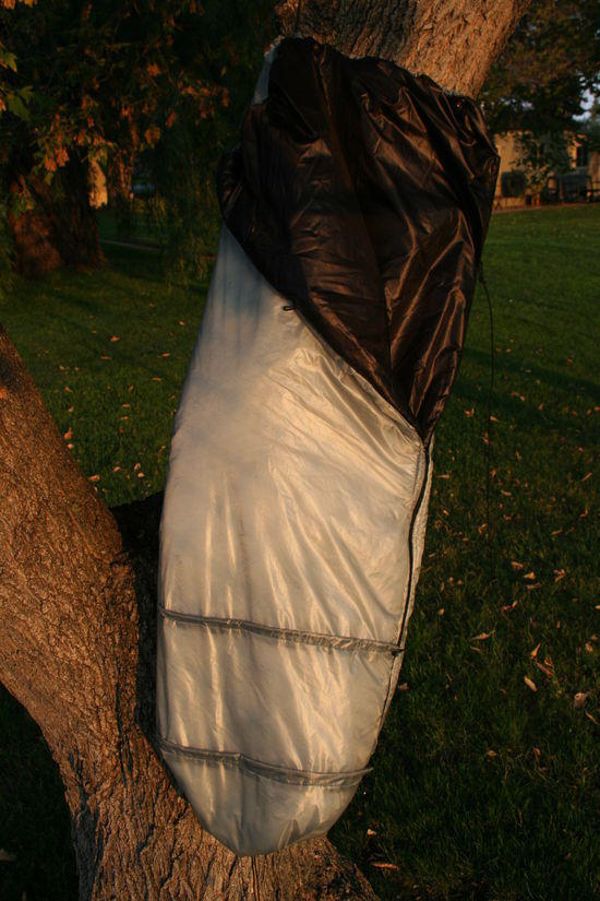Quilt 1