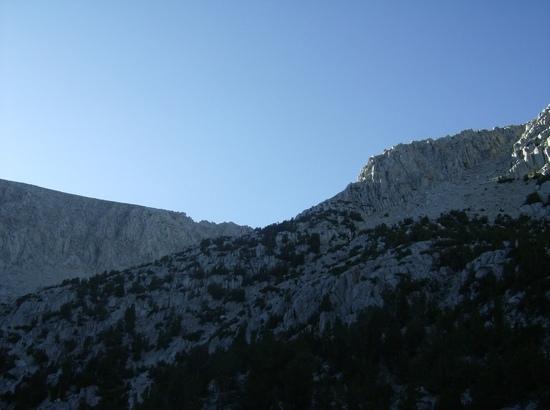 pic8