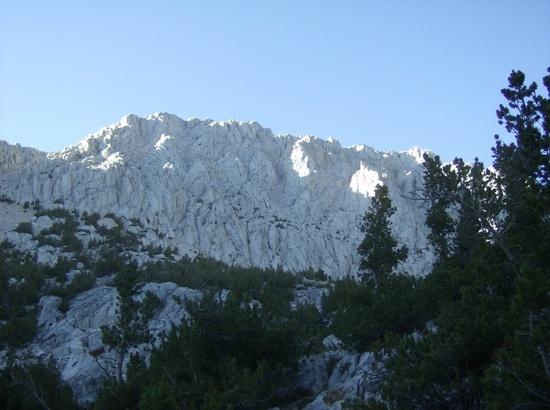 pic10