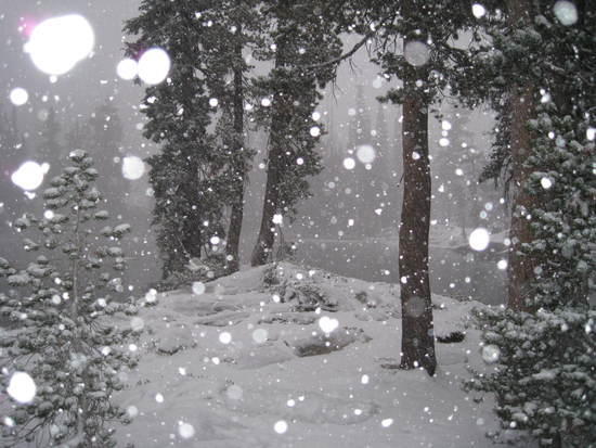 Gem snow