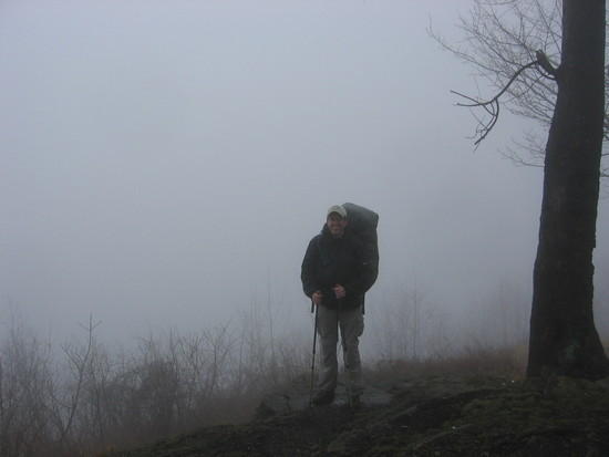 A foggy April view from Sharp Top (Old Loggers Path)