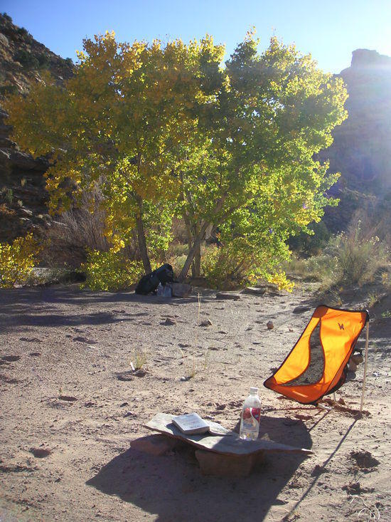 comfy camp with Alite chair