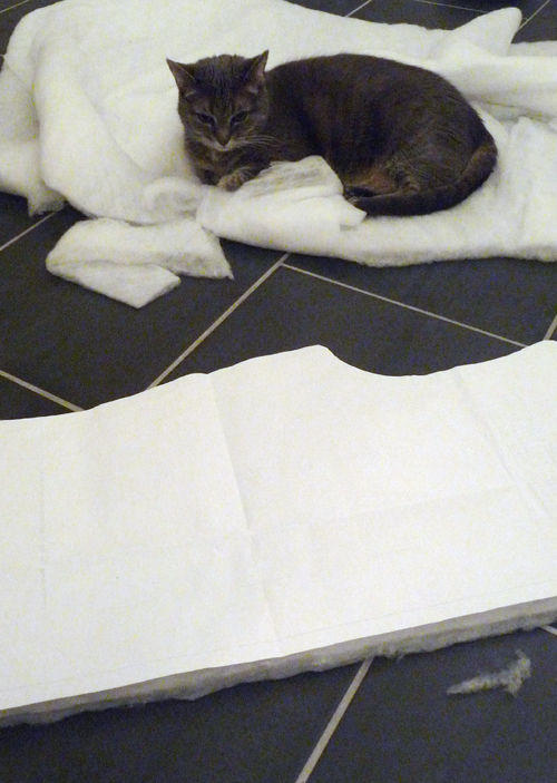 Climashield Combat, highly endorsed by cats