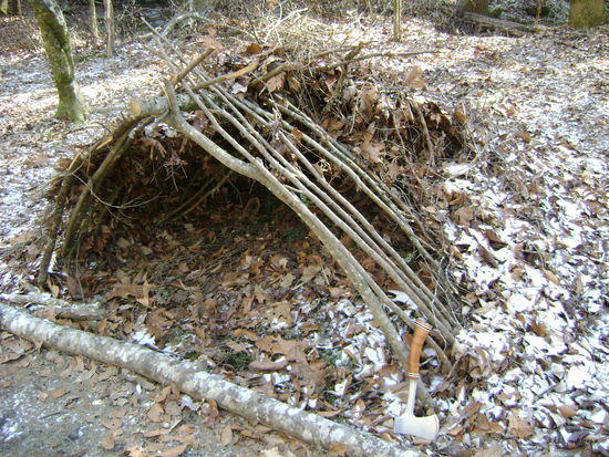 debris shelter