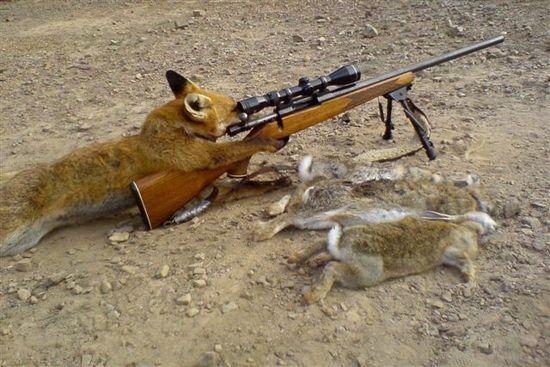 hunting