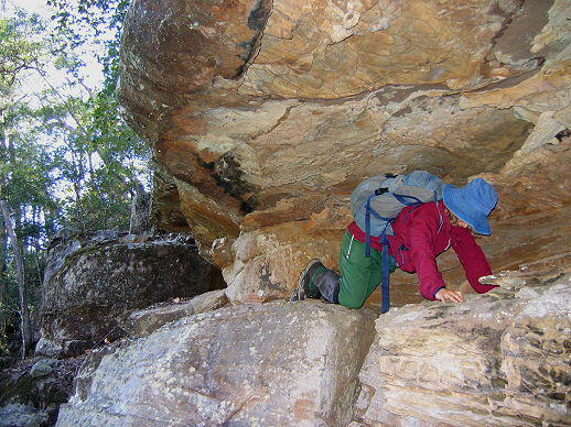 DevilsWilderness0285