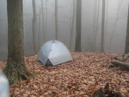 Cold and foggy, followed by rain
