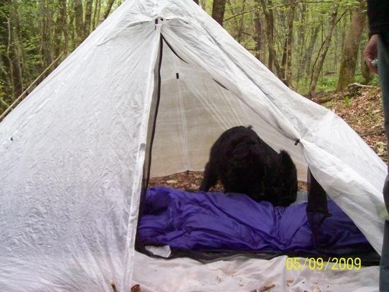 2 person cuben shelter
