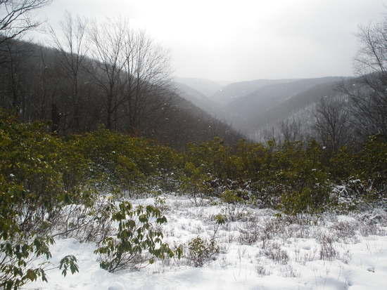 The view from the top