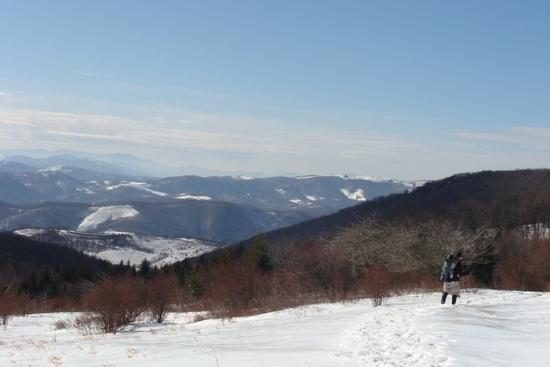 Toward Massie Gap