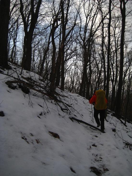 nearing road