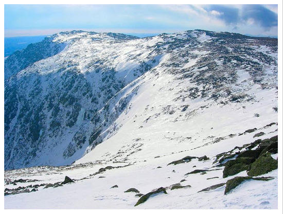Tuckermans Ravine from Upper Snowfields