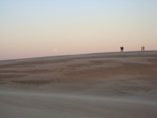 Moonrise over dune