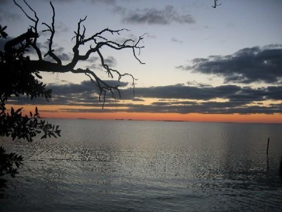 nags head woods sunset