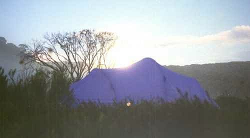 MoonlightOnTent