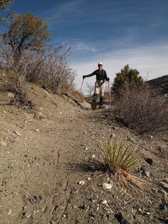 Dry Trail