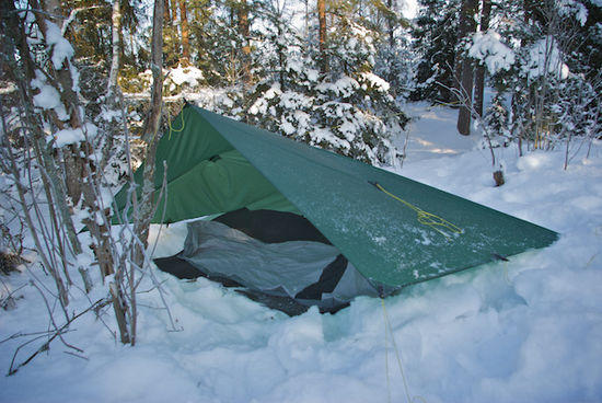 tarp