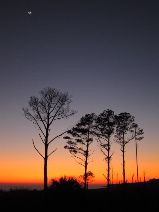 Dauphin Island Sunset