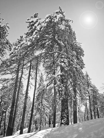 Snow