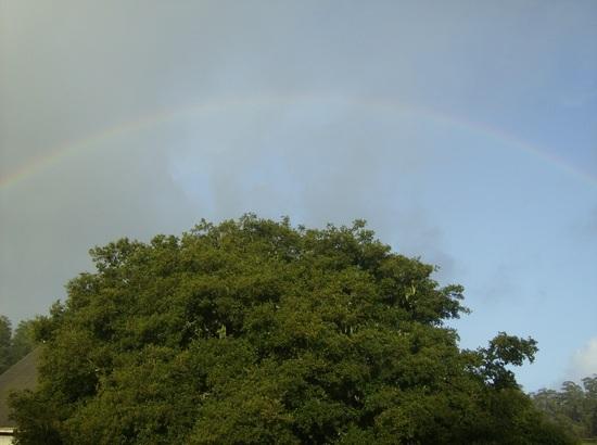 nice rainbow