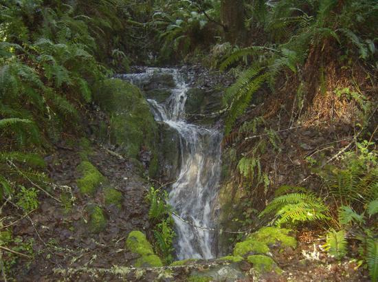 spring water