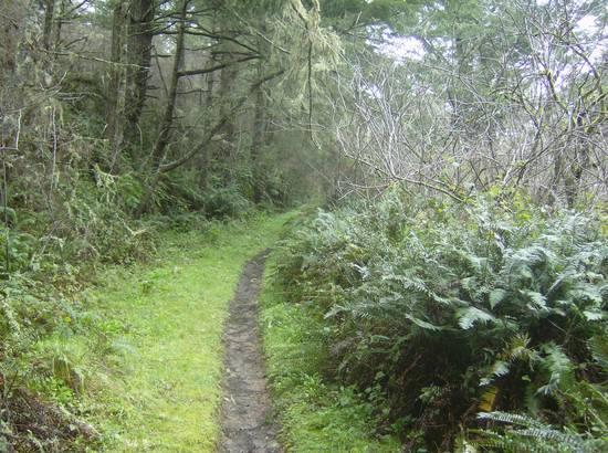 trail