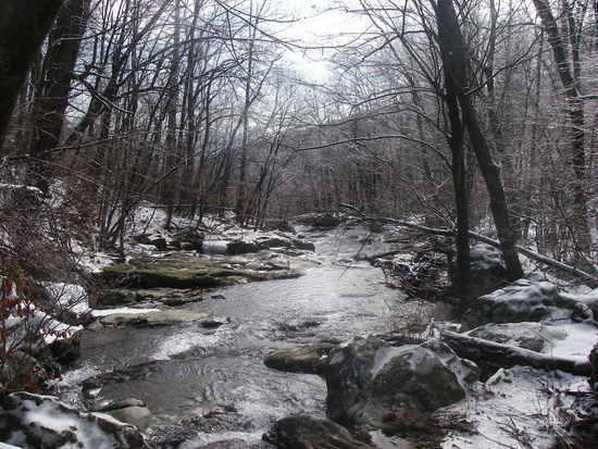 White Oak canyon