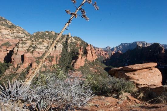 Sedona