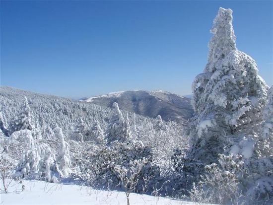 AT - Roan Mtn, Feb 14