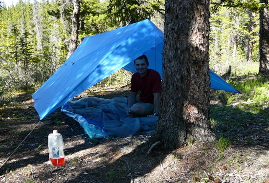 tarp