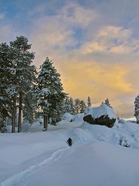 View from the hut in the morning
