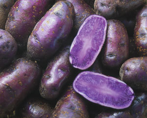 potatoes