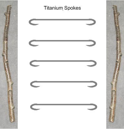 Titanium spoke idea