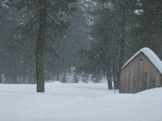 snow