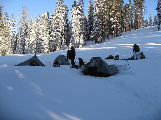 tarptent city