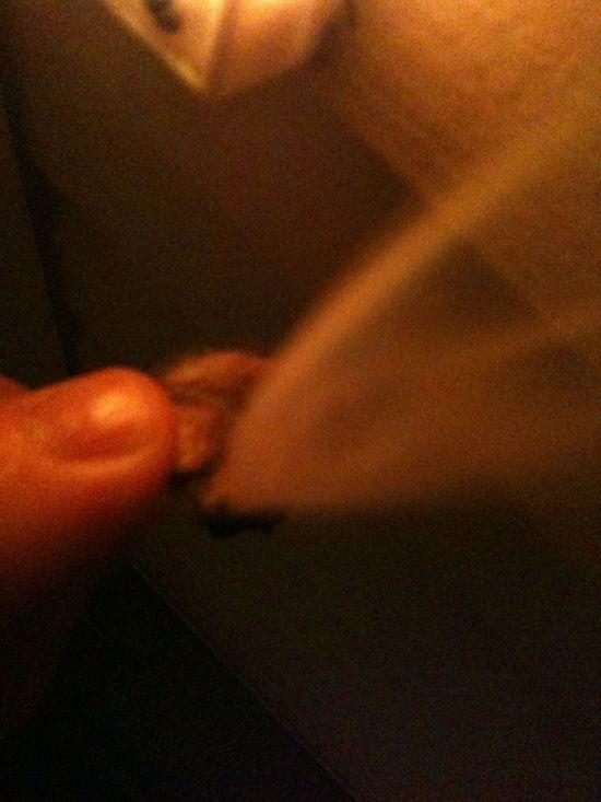 unburned bottom of firestarter, and ember(hard to see)