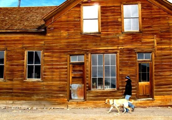 Bodie 1
