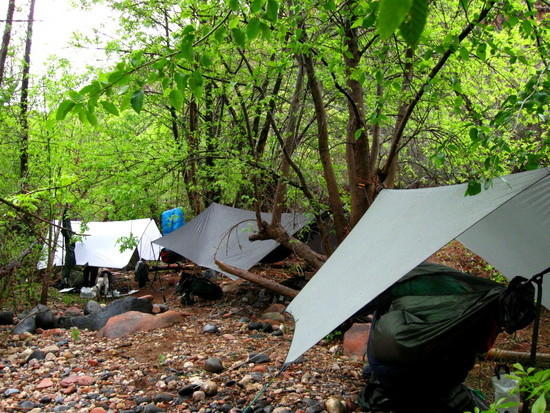 Hammock camping near Parson Spring