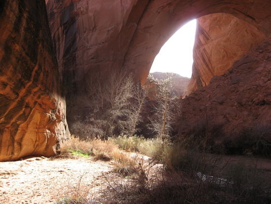 Jacob Hamblin Arch, Coyote Gulch