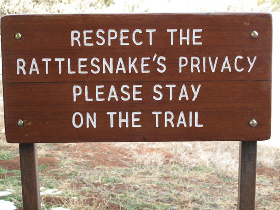 RattleSnakesPrivacy