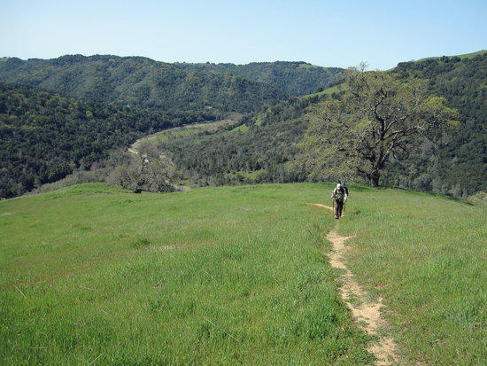 Marching Up Steer Ridge Trail