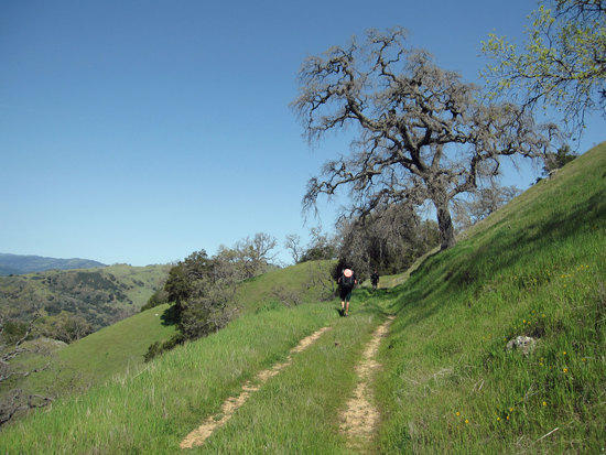 Steer Ridge Road