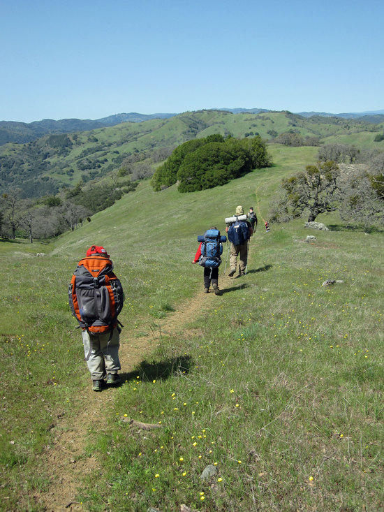 March of the Little Guys