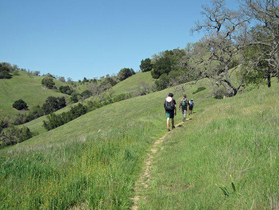 More Green Hills